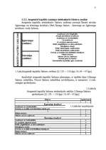 Diplomdarbs 'Uzņēmuma kapitāla struktūras analīze', 11.