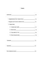 Referāts 'Customs', 1.