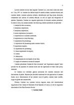 Referāts 'Customs', 4.