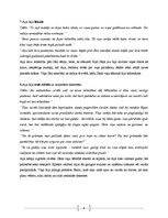 Konspekts 'J.Jaunsudrabiņa romāns "Aija". Aijas apsūdzības raksts', 3.