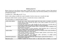 Prakses atskaite 'Māsu prakses dienasgrāmata', 4.