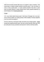 Konspekts '1905.gada revolūcija', 11.