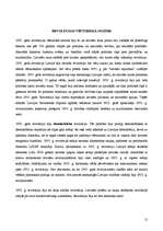 Konspekts '1905.gada revolūcija', 12.