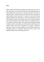 Referāts 'Zāļu reklāma mediju vidē un farmaceitiskajā aprūpē', 4.