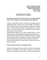 Konspekts 'Dzimumpolitika. Gender Identity kā politikas jautājums', 1.