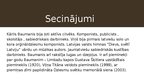 Prezentācija 'Baumanis', 5.