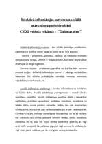 Eseja 'Selektīvā informācijas uztvere un sociālā mārketinga pozitīvie efekti CSDD veido', 1.