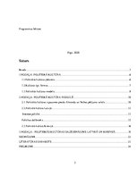 Referāts 'Politiskās kultūras salīdzinājums Latvijā un Krievijā', 2.