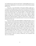 Referāts 'Politiskās kultūras salīdzinājums Latvijā un Krievijā', 6.