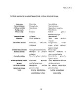 Referāts 'Politiskās kultūras salīdzinājums Latvijā un Krievijā', 26.