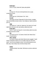 Referāts 'Galvenā varoņa pašanalīze un sabiedrības analīze A.Bela romānā "Izmeklētājs"', 4.