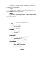 Referāts 'Galvenā varoņa pašanalīze un sabiedrības analīze A.Bela romānā "Izmeklētājs"', 5.