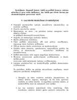 Referāts 'Baltā un pelēkā ekonomika Latvijā', 16.