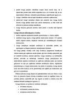 Referāts 'Līzinga darījumu analīze no līzinga ņēmēja viedokļa', 5.