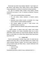 Referāts 'Līzinga darījumu analīze no līzinga ņēmēja viedokļa', 10.