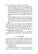 Referāts 'Līzinga darījumu analīze no līzinga ņēmēja viedokļa', 14.