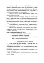 Referāts 'Līzinga darījumu analīze no līzinga ņēmēja viedokļa', 16.