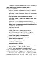 Referāts 'Līzinga darījumu analīze no līzinga ņēmēja viedokļa', 17.