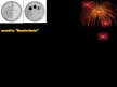 Prezentācija 'Gleznotāja Frančeska Kirke', 16.
