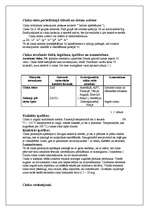 Konspekts 'Cinks', 2.