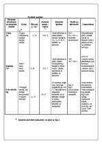 Konspekts 'Cinks', 4.