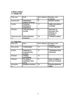 Paraugs 'Projektu vadība. Projektu riska analīze', 3.