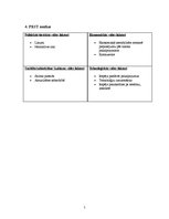 Paraugs 'Projektu vadība. Projektu riska analīze', 5.