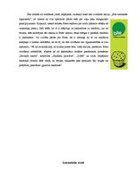 Eseja 'Reklāmas analīze vasarā', 3.