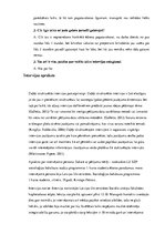 Paraugs 'Intervijas transkripcija. Paraugs', 5.