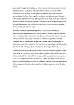 Paraugs 'Intervijas transkripcija. Paraugs', 6.