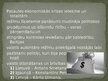 Prezentācija 'Ekonomiskā krīze 20.-30.gados', 7.