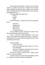 Referāts 'Prakses atskaite grāmatvedībā', 42.