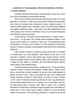 Diplomdarbs 'Kriminālatbildība par vardarbību ģimenē', 5.