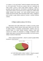 Diplomdarbs 'Mācīšanās motivācijas veidošanās pusaudžiem ar viegliem garīgās attīstības trauc', 53.