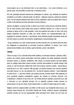 Konspekts 'Tulkotas Freida lekcijas', 23.