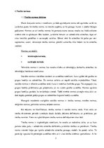 Referāts 'Tiesību normas sociālo normu sistēmā', 3.