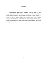 Referāts 'Tiesību normas sociālo normu sistēmā', 17.