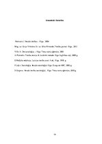 Referāts 'Tiesību normas sociālo normu sistēmā', 18.