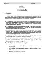 Biznesa plāns 'Biznesa plāns viesu namam', 12.