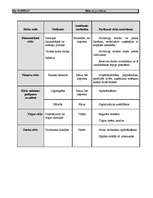 Biznesa plāns 'Biznesa plāns viesu namam', 30.