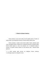 Referāts 'Izpildvara Latvijā', 5.