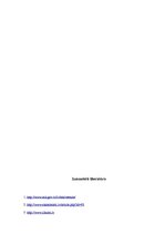 Referāts 'Izpildvara Latvijā', 14.