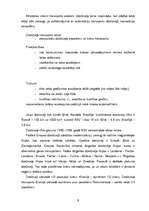 Referāts 'Sauszemes transports', 6.