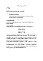 Konspekts 'Rudens lapu krāsas - nodarbības plāns', 1.