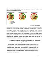 Referāts 'Cukura diabēts - ārsta norādījumi un to ievērošana', 15.