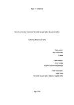 Referāts 'Karavīru motivācija, iesaistoties Nacionālo bruņoto spēku Sauszemes spēkos', 1.