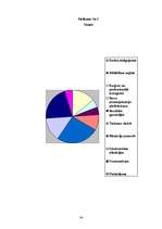 Referāts 'Karavīru motivācija, iesaistoties Nacionālo bruņoto spēku Sauszemes spēkos', 34.