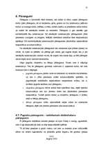 Referāts 'Individuālā dzīvojamā māja', 13.