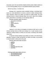 Referāts 'SIA „Objektīvs” mārketinga analīze', 6.