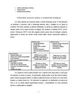 Referāts 'SIA „Objektīvs” mārketinga analīze', 7.